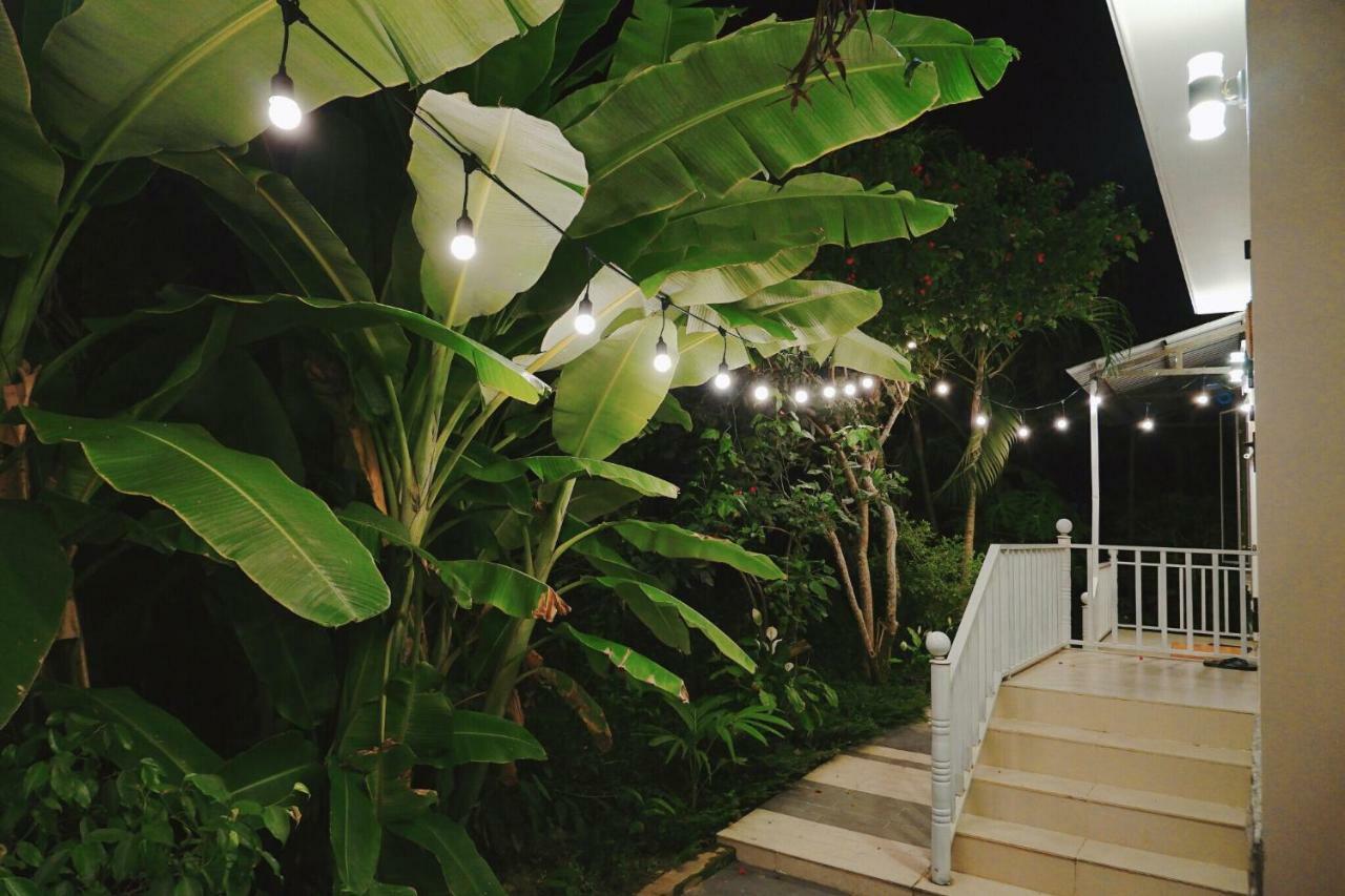 Longan Homestay ホイアン エクステリア 写真